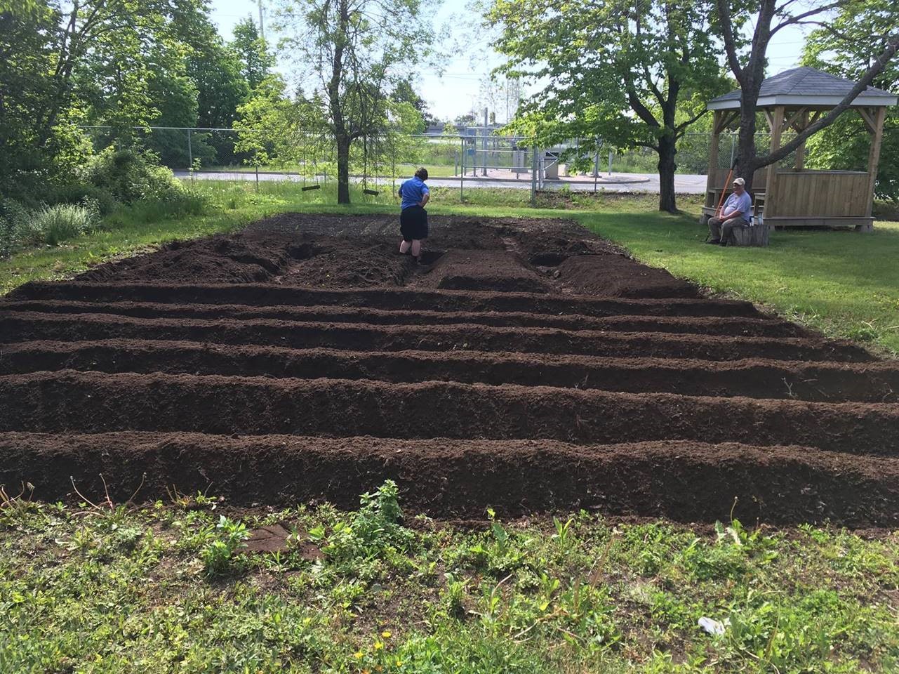 Halifax Transit Community Garden tilled and in rows ready for planting